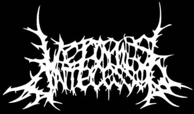 logo Vermis Antecessor